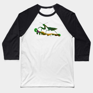 Mantis Religiosa Santateresa Green Baseball T-Shirt